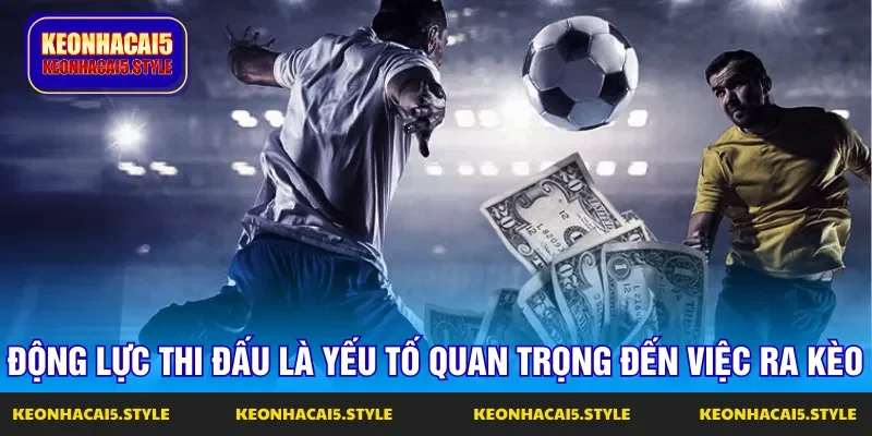 dong luc ra san hai doi co the quyet dinh ty le cuoc dong luc ra san hai doi co the quyet dinh ty le cuoc