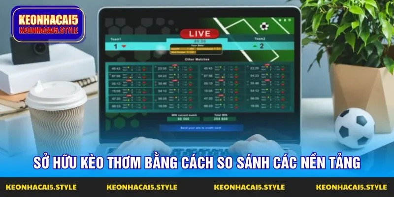 so sanh cac nen tang ca cuoc de so huu keo thom so sanh cac nen tang ca cuoc de so huu keo thom