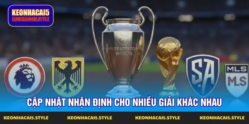 cap nhat nhan dinh cho nhieu giai khac nhau